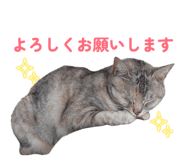 855677178