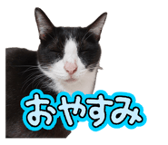 855677180