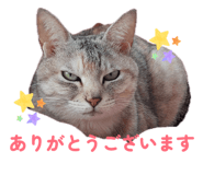 855677187