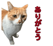 855677193