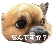 855677369