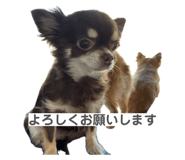 855677372