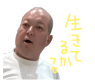 855677389