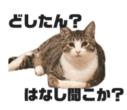 855677994