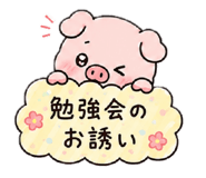 855678043