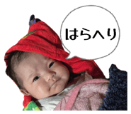 855678079