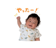 855678211