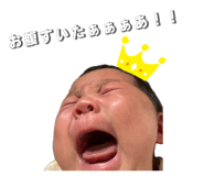 855678423