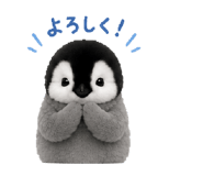 855678870