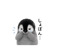 855678886
