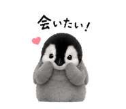 855678888