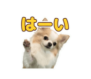 855679209