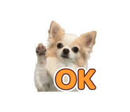 855679210