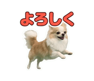 855679214