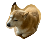 855679238