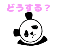 855679258