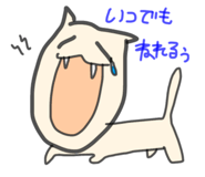 855679380