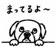 855679414