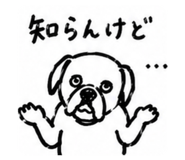 855679429