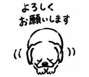 855679435