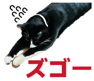 855679524