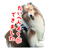 855679668