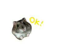 855679821