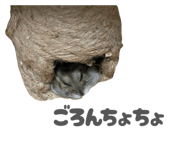 855679824