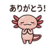 855679825