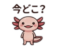 855679833