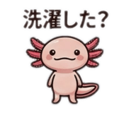 855679840