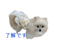 855679884
