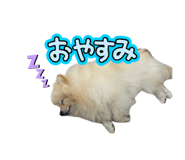 855679885