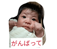 855680049