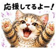 855680070