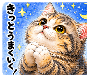 855680073