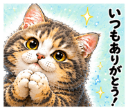 855680088