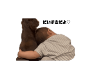 855680233