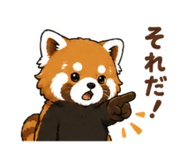 855680250