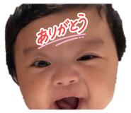 855680308