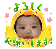 855680312