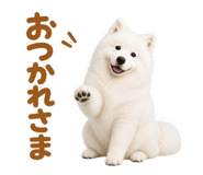 855680393
