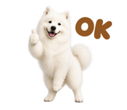 855680394