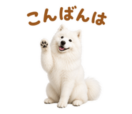 855680397