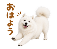 855680398