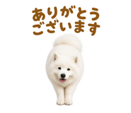 855680402