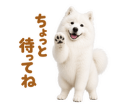 855680408