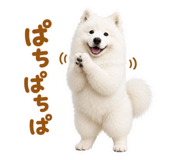 855680413