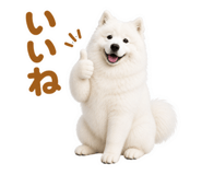855680417