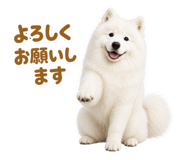 855680420